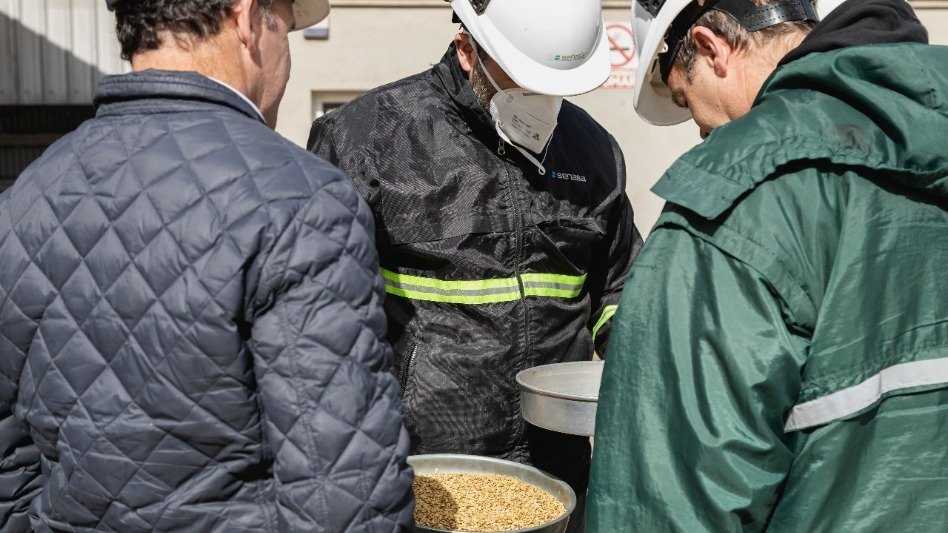 Campoamor Hnos. concretó su primera exportación con Aduana en planta desde  Benito Juárez