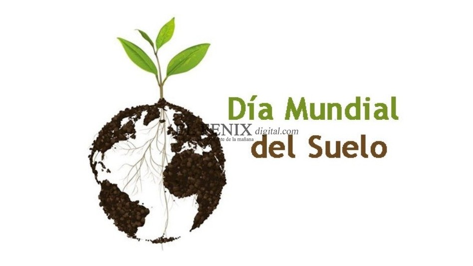 05 de diciembre Día Mundial del Suelo